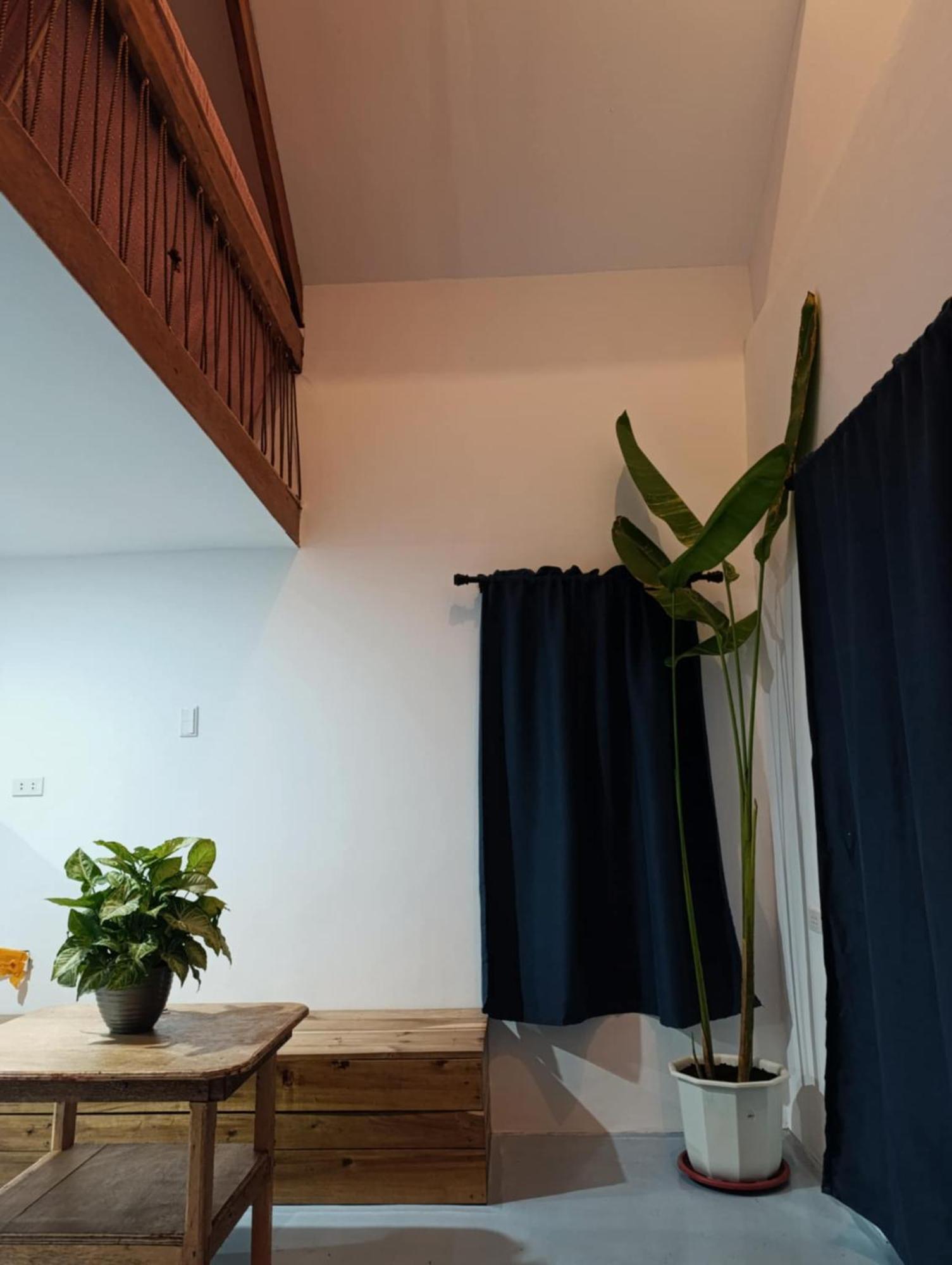 Helmina'S Villas 卢纳将军城 外观 照片